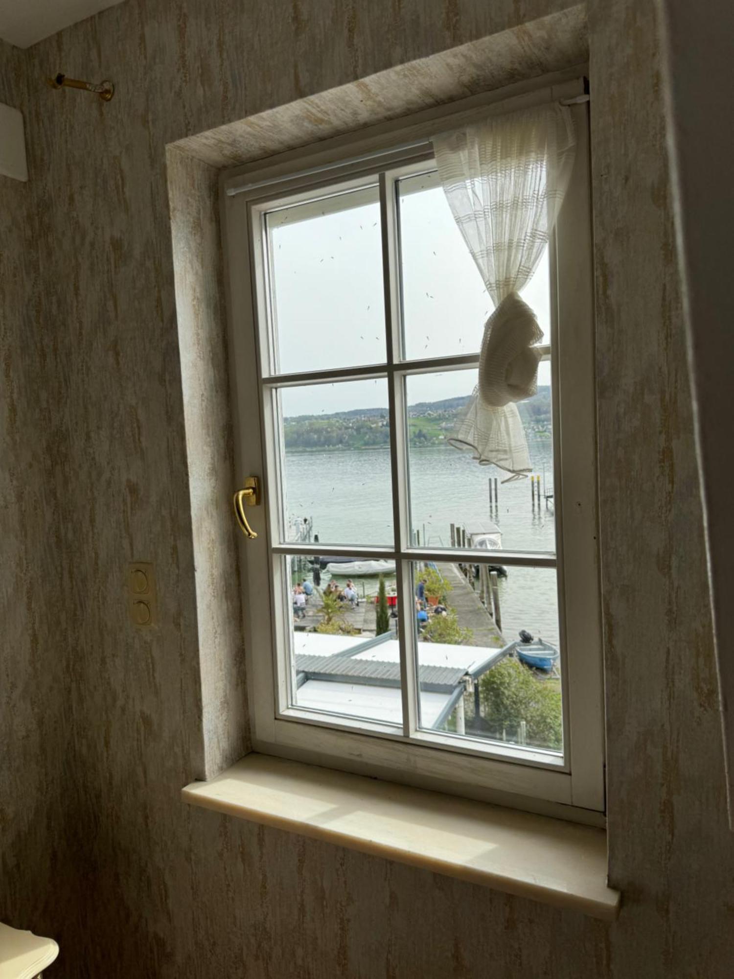 See-Hotel Seeschau - Direkt Am Bodenseeufer ไรเชอเนา ภายนอก รูปภาพ