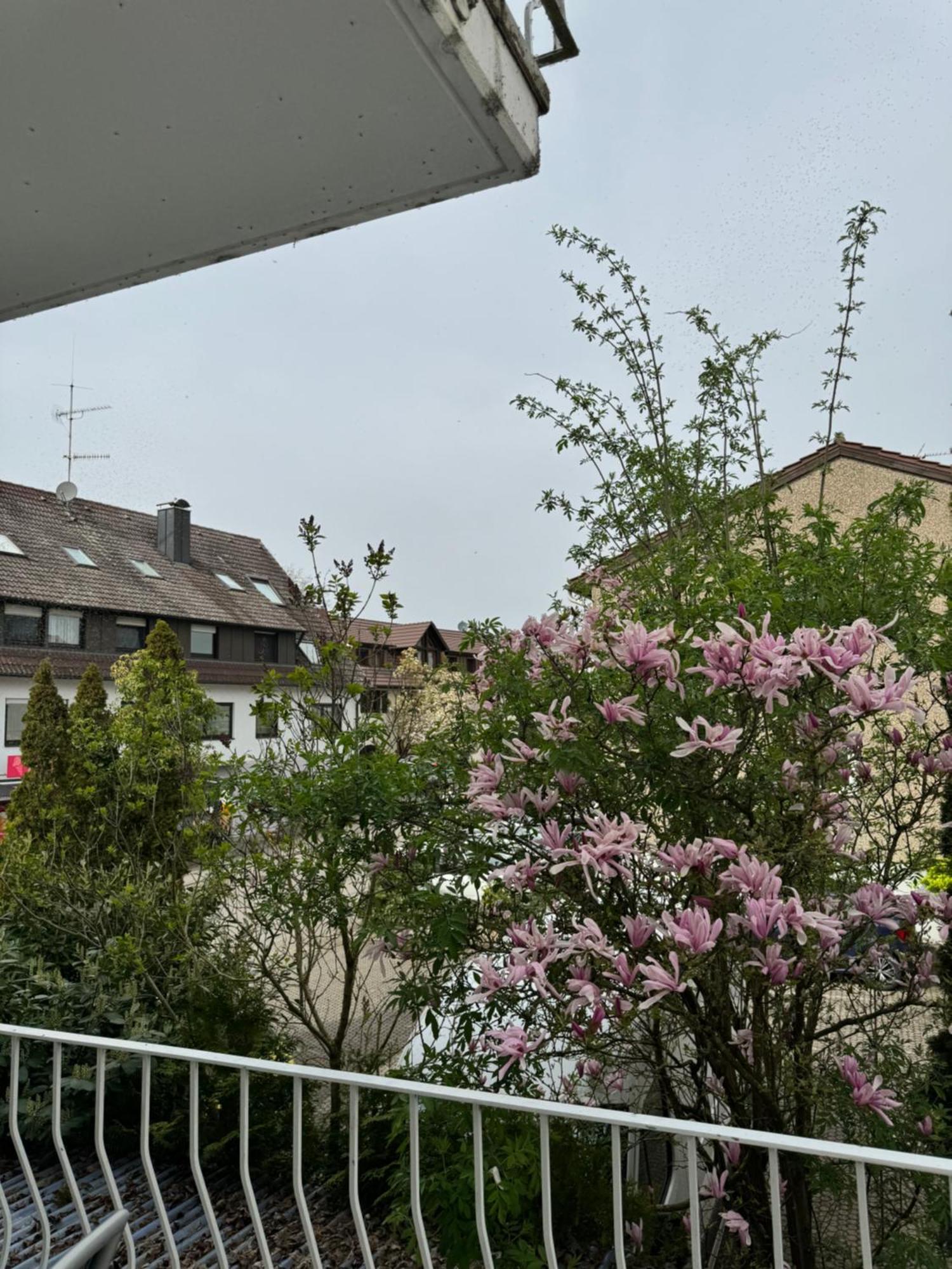 See-Hotel Seeschau - Direkt Am Bodenseeufer ไรเชอเนา ภายนอก รูปภาพ