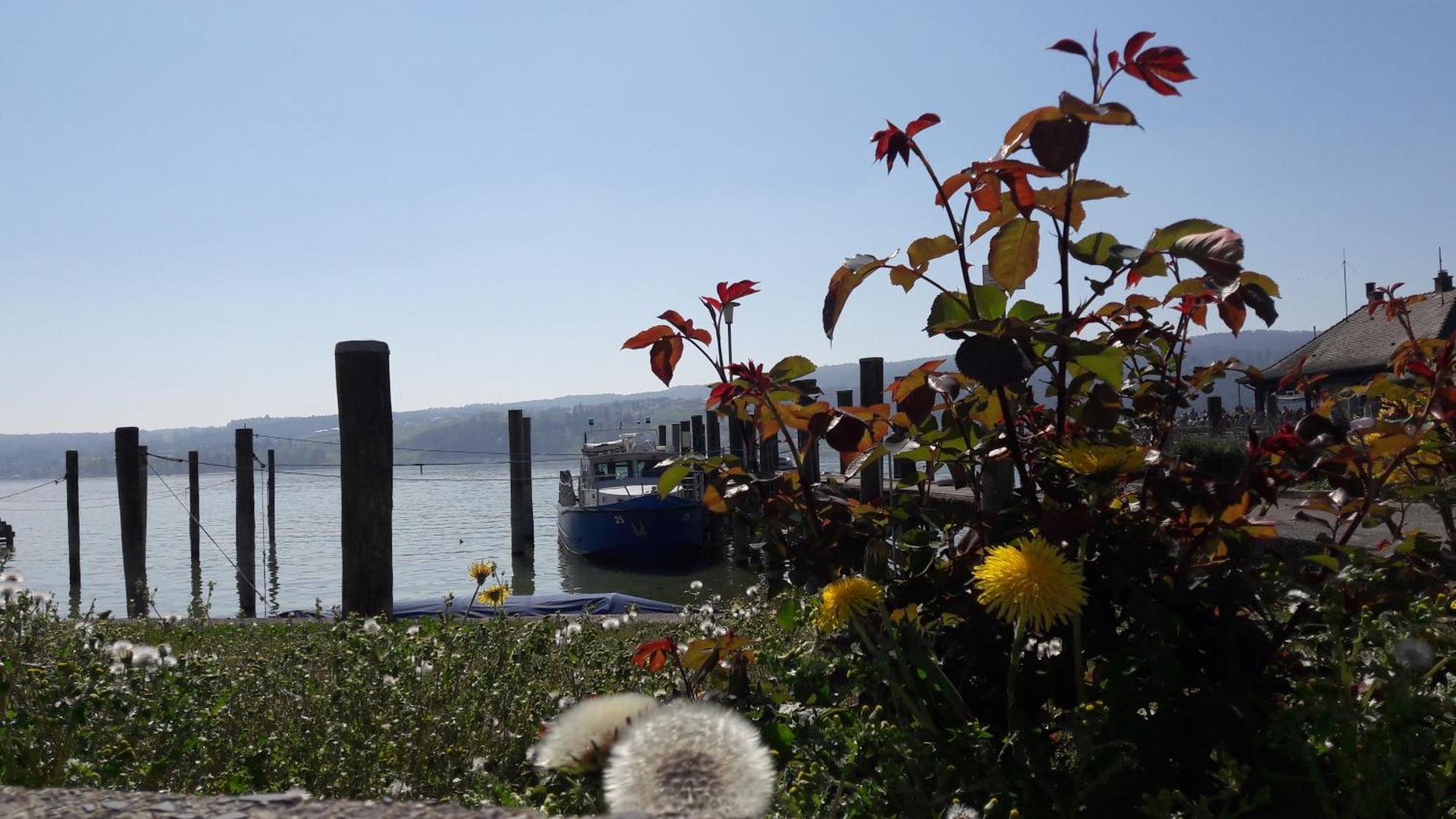 See-Hotel Seeschau - Direkt Am Bodenseeufer ไรเชอเนา ภายนอก รูปภาพ